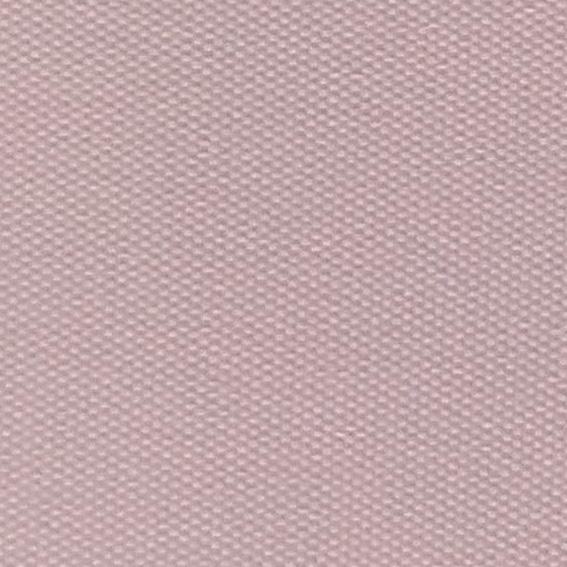 19 - Rosa