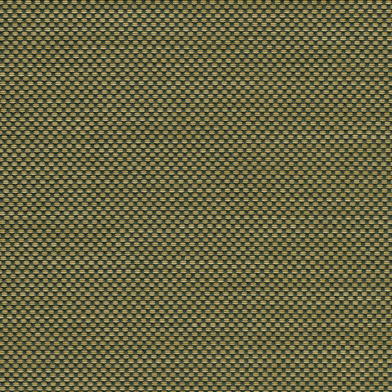 309 - Negro-Oro