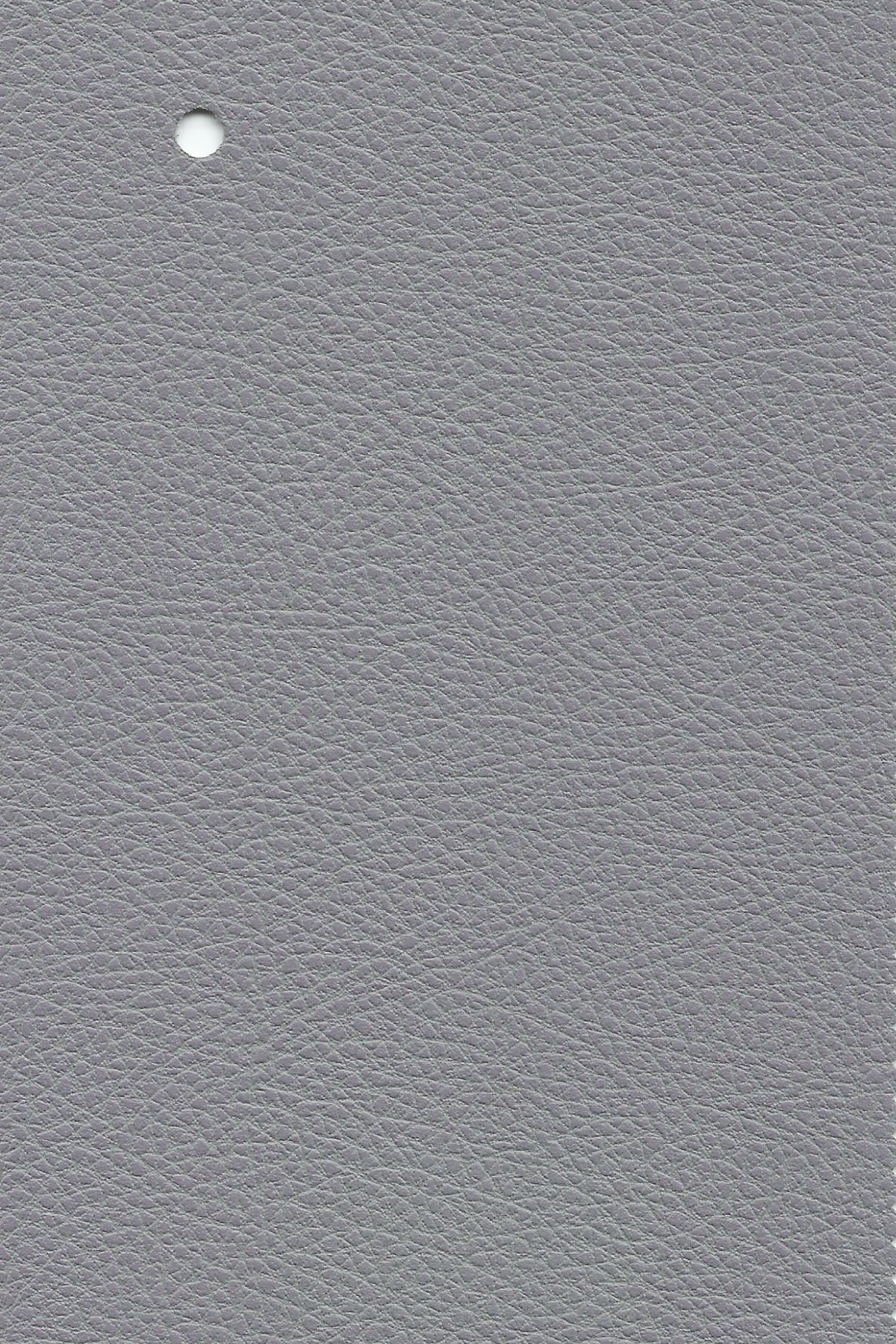 10 - Beige Tostado